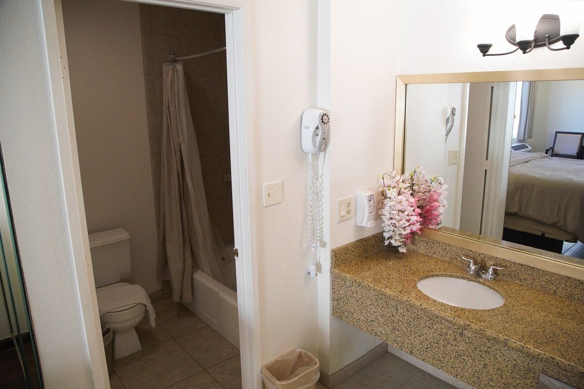 Bathroom with beige granite countertop, sink, toilet, shower, and mirror reflecting bed.