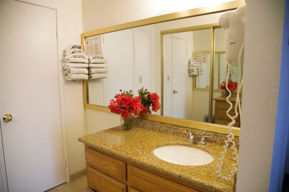 Bathroom with mirror, granite countertop, sink, red flowers, towels, and a hairdryer.