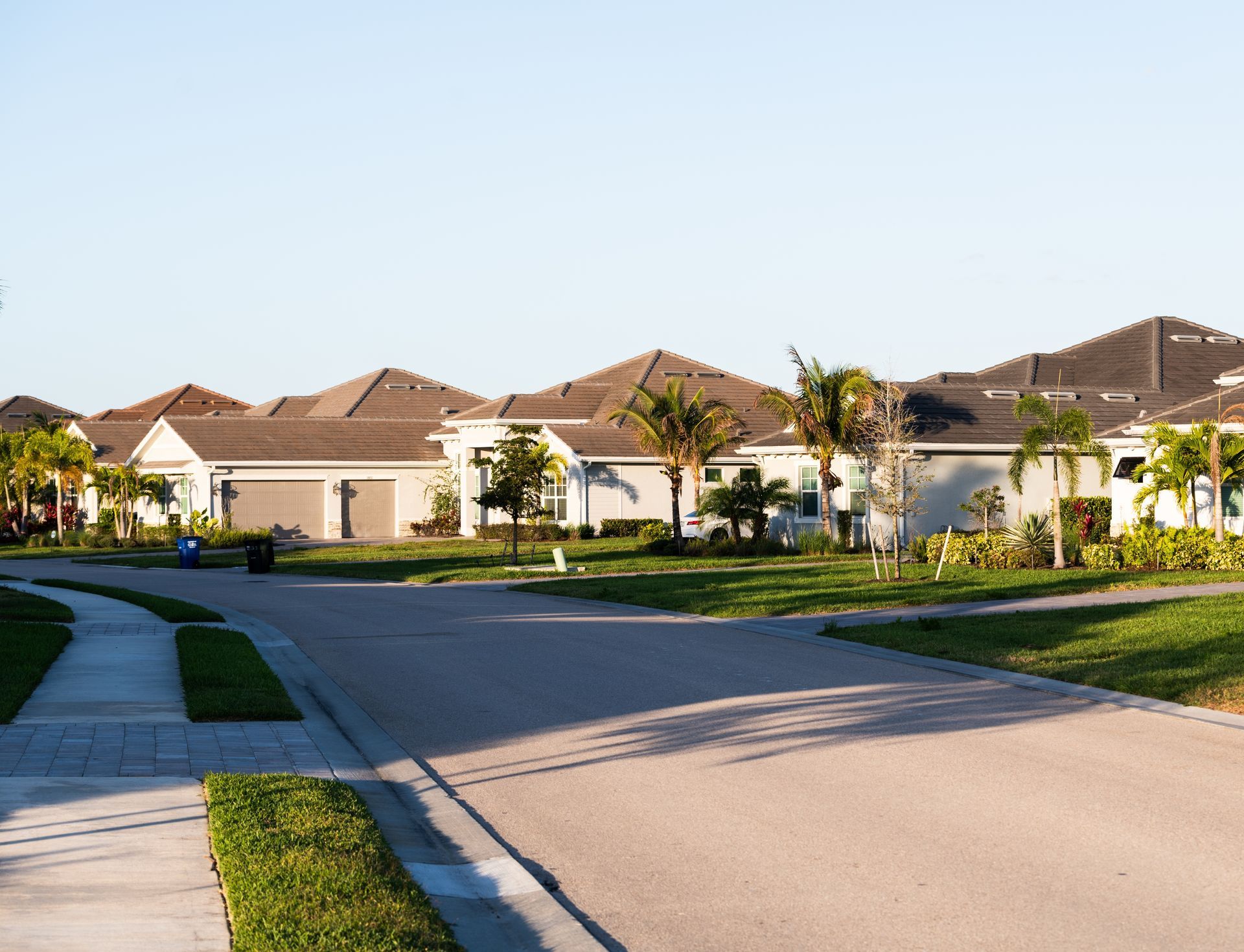Quiet suburban neighborhood with houses, palm trees, sidewalks, and a curved street in warm sunlight