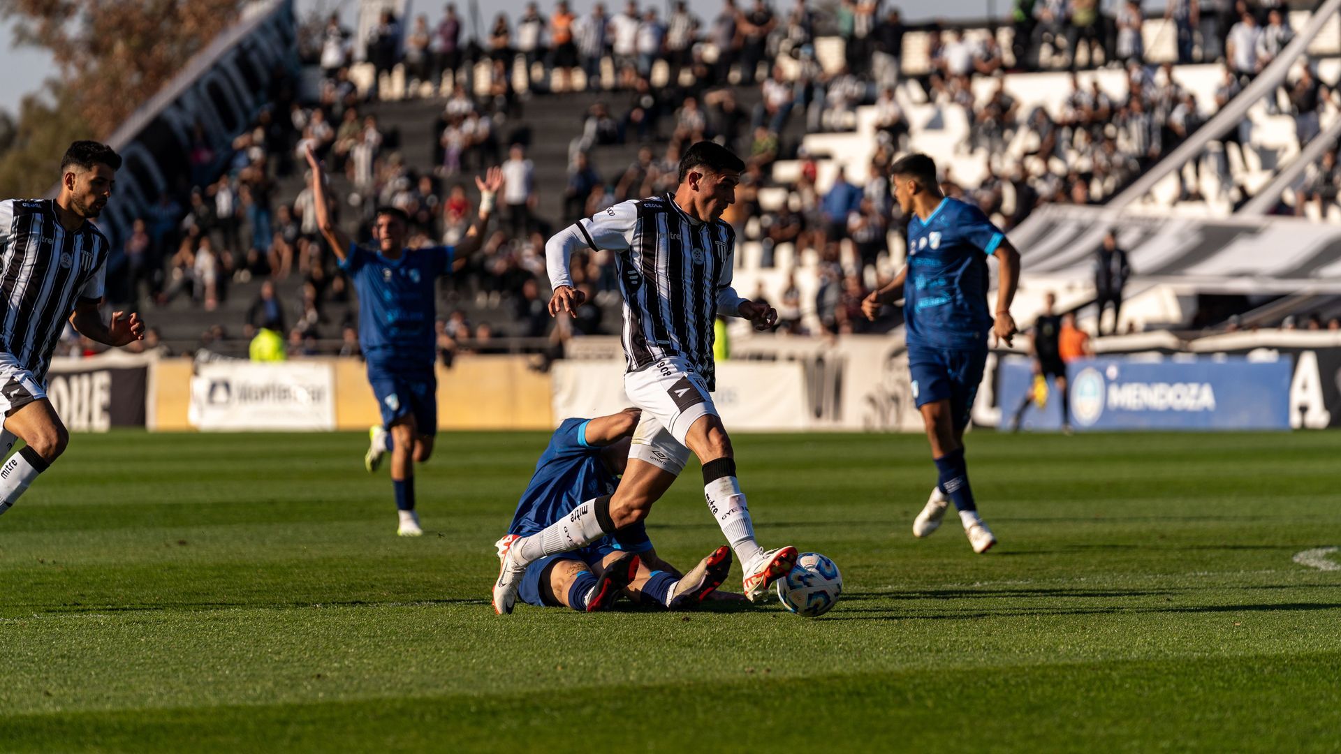 Copa Farham