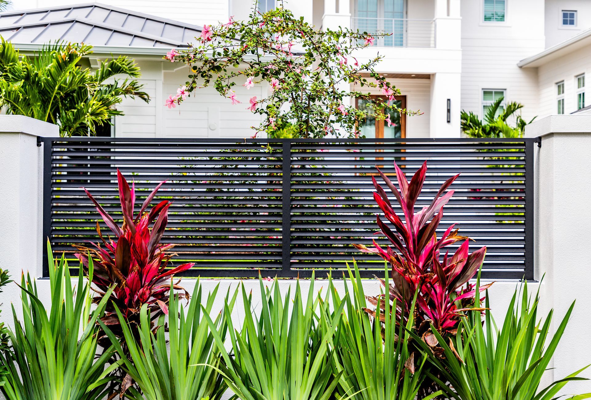 Modern house with black slat fence, lush green plants, and red tropical foliage in front yard