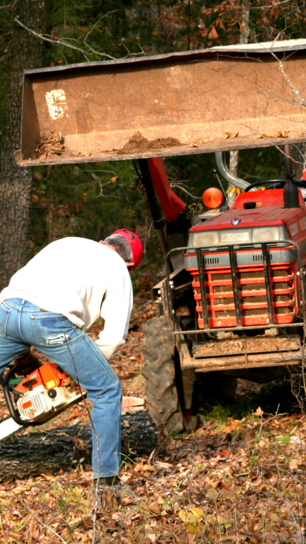 tree removal equipment and machines
