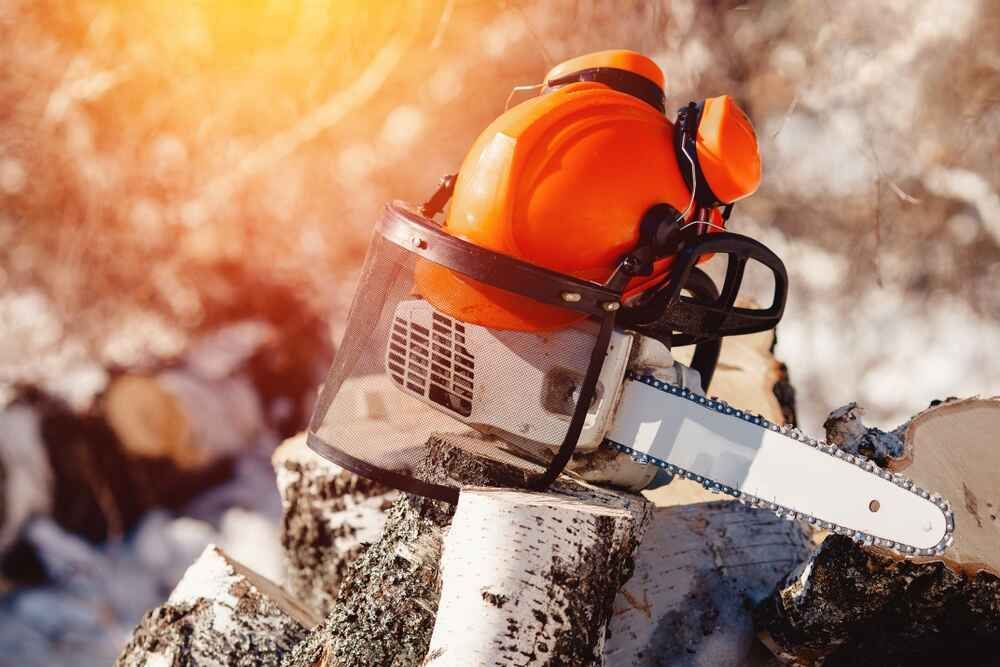 A Chainsaw Is Sitting On Top Of A Tree Stump  — D & M Tree Services In Old Bar, NSW
