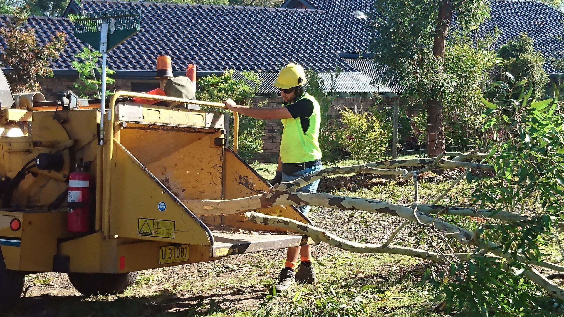 A Man Is Cutting A Tree Branch With A Chainsaw — D & M Tree Services In Taree, NSW