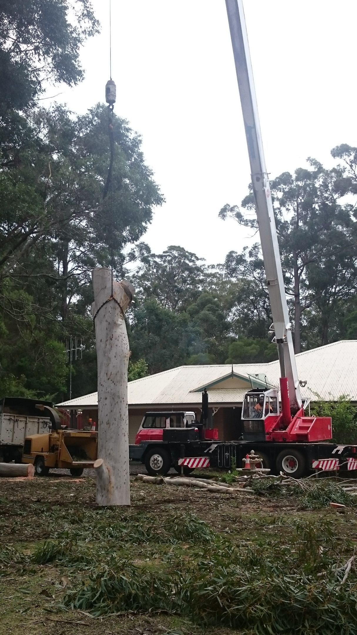 A Crane Is Cutting Down A Tree In Front Of A House — D & M Tree Services In Taree, NSW