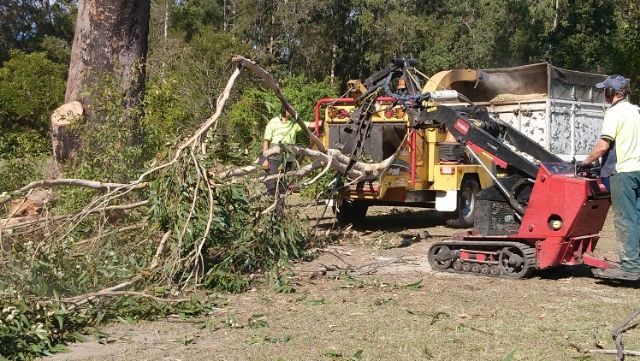 A Man Is Standing Next To A Machine That Is Cutting Trees — D & M Tree Services In Taree, NSW