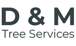 Specialised Arboriculture In Taree Specialised Arboriculture In Taree