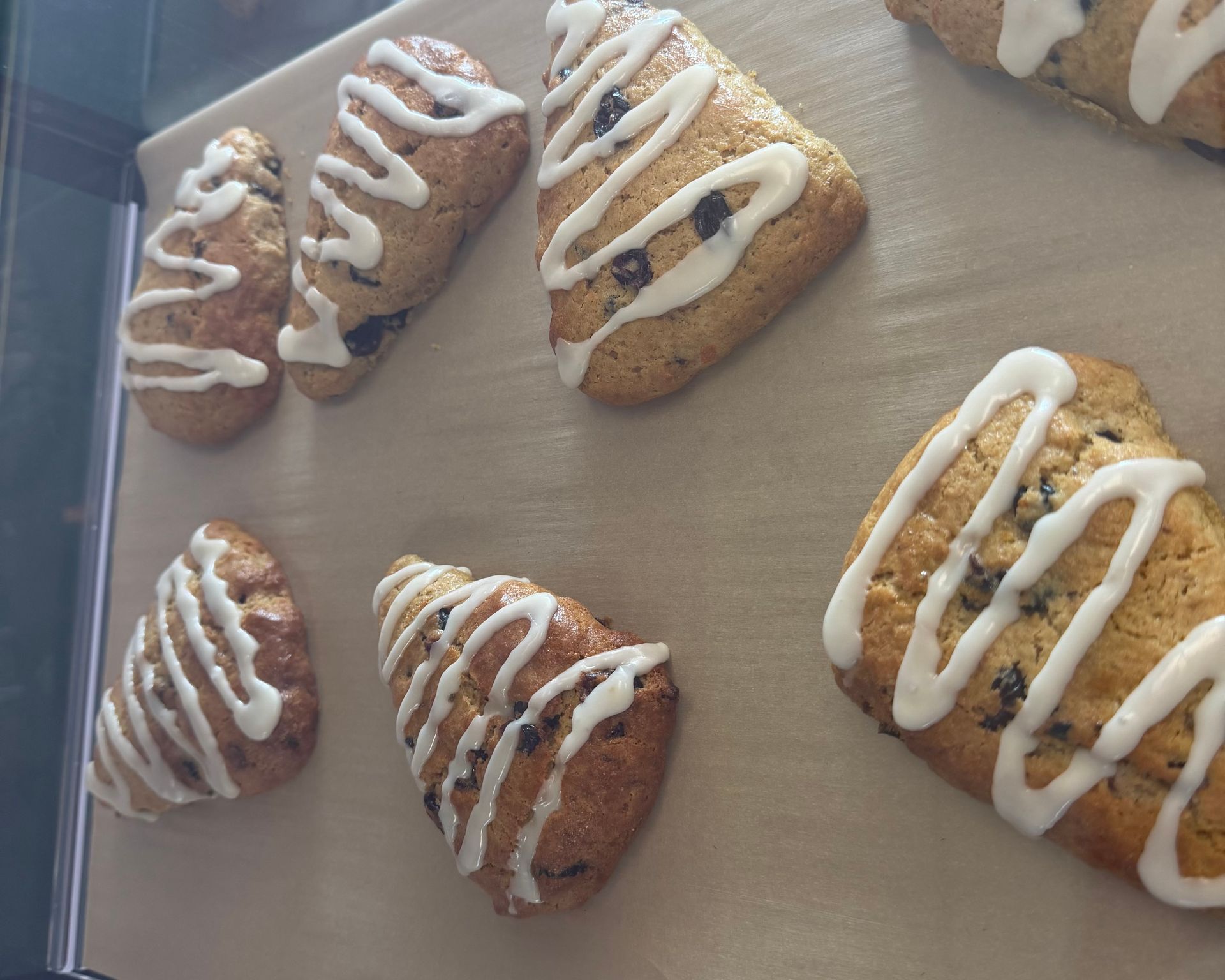 Iced scones arranged on a baking tray, with white drizzle on golden-brown tops.