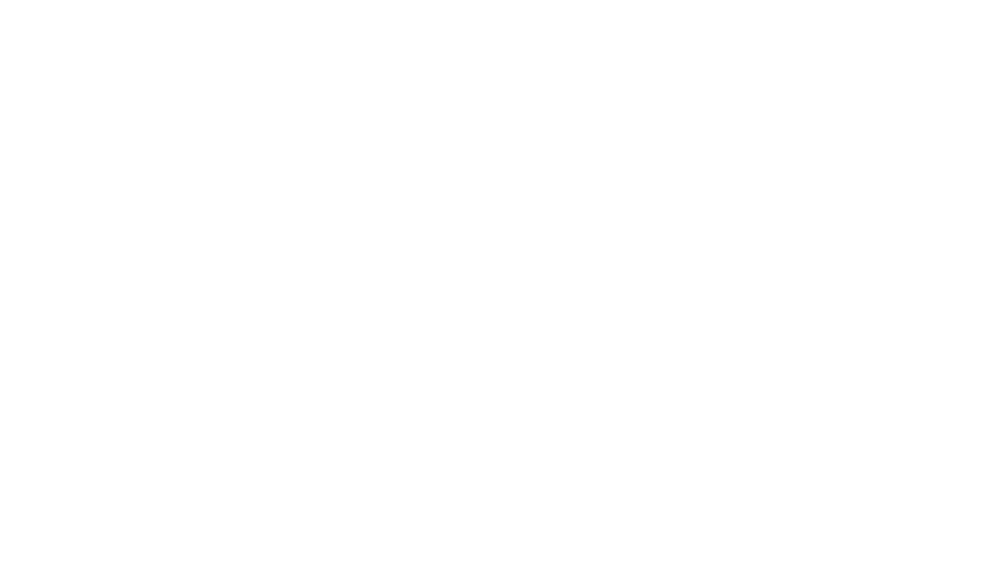 Studio Chini logo