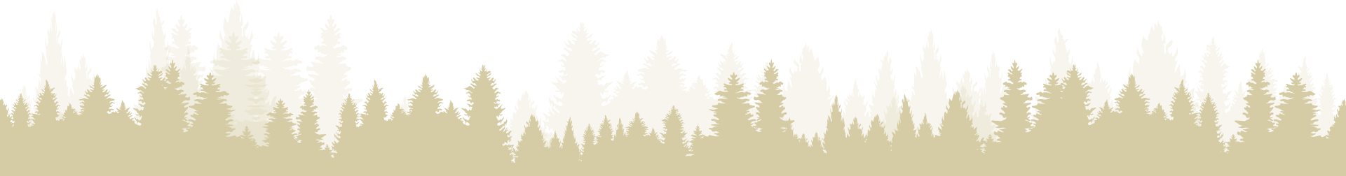 A horizontal banner featuring a stylized, light tan silhouette of a coniferous forest against a white background.