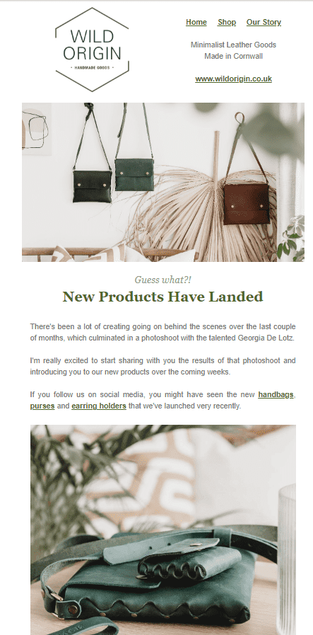 Email Marketing - Wild Origin