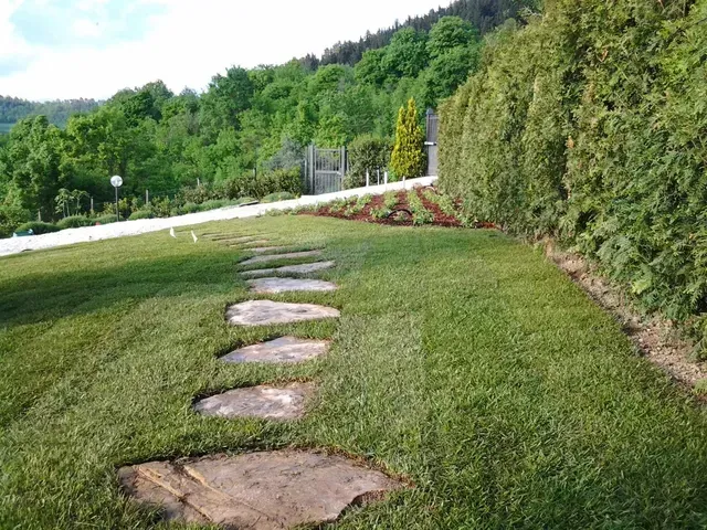 Un sentiero lastricato attraversa un prato verde costeggiando una siepe e un pendio boscoso.