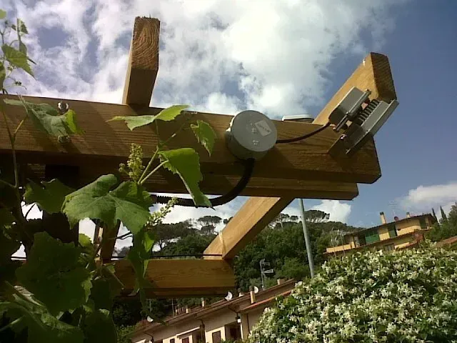 Pergola in legno con rampicanti verdi sotto un cielo nuvoloso, accanto a una siepe fiorita bianca