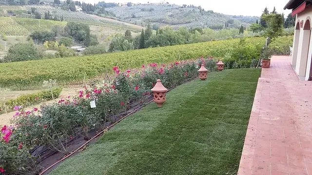 Giardino paesaggistico accanto a una casa rosa, con prato, fiori, lanterne e dolci colline verdi sullo sfondo.