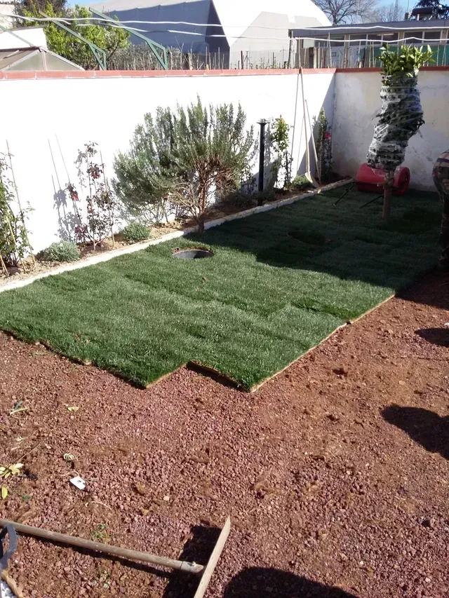 Cortile sul retro con prato verde appena posato, terreno rossastro, arbusti e un muro bianco in piena luce del sole