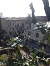 Vista soleggiata di un edificio e di una strada attraverso rami frondosi