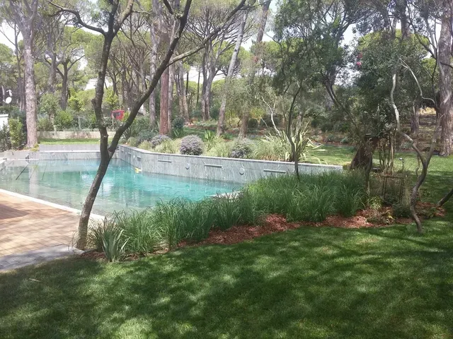 Parco alberato con una piscina turchese accanto a prati e arbusti