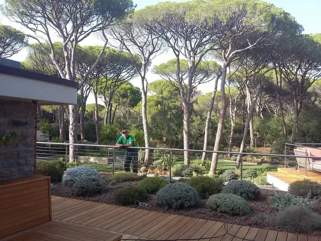 Giardino terrazzato con pini, arbusti e due persone che camminano lungo una ringhiera di legno alla luce del sole.