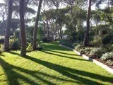 Giardino soleggiato con alberi alti, erba verde e lunghe ombre accanto a un sentiero di pietra