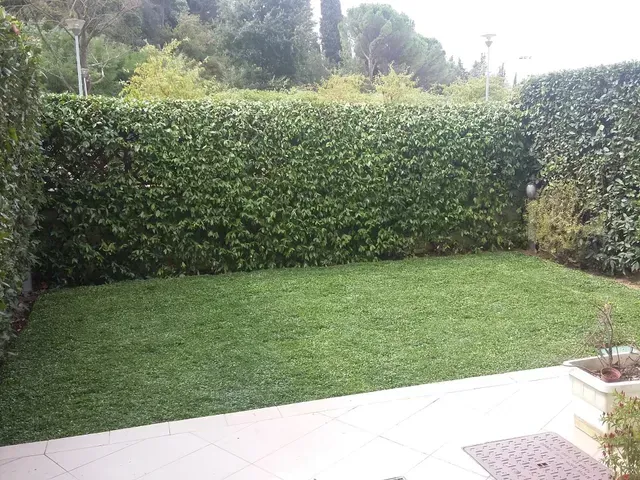 Piccolo prato sul retro della casa, delimitato da alte siepi verdi, con un patio piastrellato in primo piano.