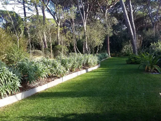 Un rigoglioso prato verde accanto a un'aiuola dai bordi bianchi con alberi e arbusti baciati dal sole.