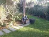Una persona seduta accanto a un albero in un giardino soleggiato sul retro di una casa, con un bidone nero nelle vicinanze.