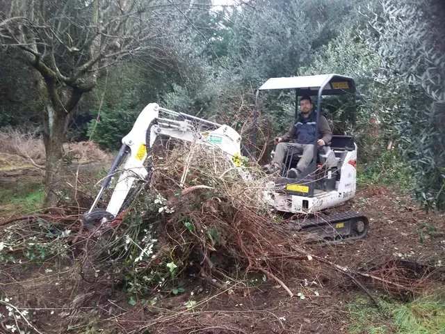 Un piccolo escavatore sta ripulendo un'area boschiva dalla vegetazione, con un mucchio di rami davanti a sé.