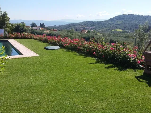 Prato soleggiato del giardino con siepi fiorite rosa e colline in lontananza che si affacciano su una valle
