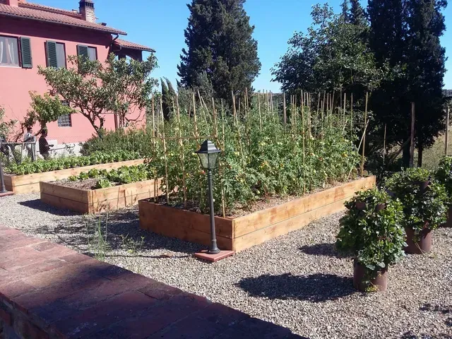 Aiuole rialzate in un cortile soleggiato accanto a un edificio rosa, con sentieri di ghiaia e alberi.