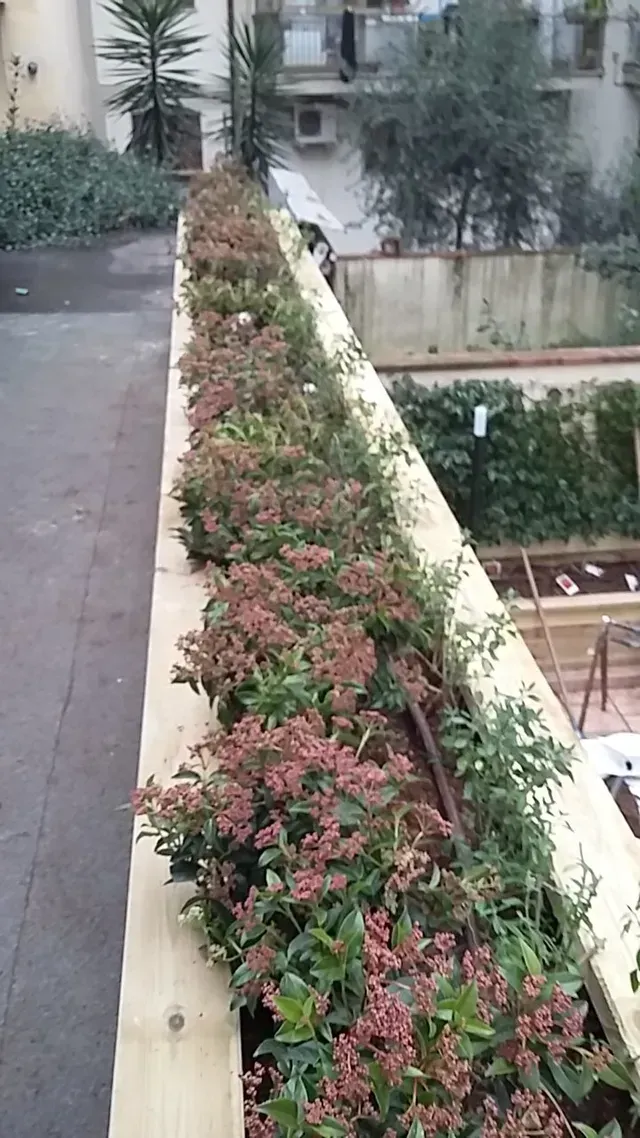 Fioriera fiorita lungo una passerella sul tetto con piante rosa e verdi accanto al cortile di un edificio.
