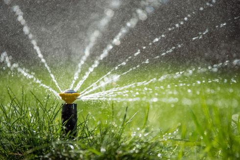Un irrigatore da giardino spruzza acqua sull'erba verde in un cortile soleggiato.