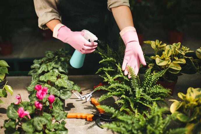 Un giardiniere con i guanti rosa spruzza e cura fiori colorati in un'aiuola.