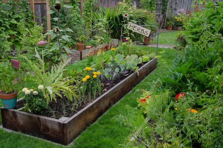 Rigoglioso giardino sul retro con aiuole rialzate di fiori e ortaggi, completo di un cartello con la scritta