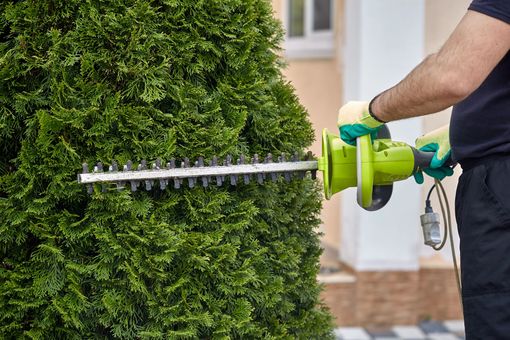 Una persona pota una siepe verde all'aperto con un tagliasiepi elettrico.