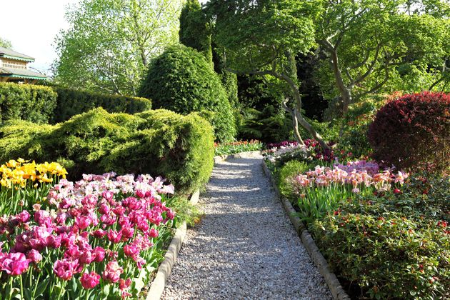 Sentiero di ghiaia che attraversa un colorato giardino fiorito con fiori rosa e rigogliosi arbusti verdi.
