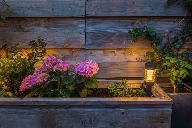 Fioriera in legno con fiori rosa e lanterna luminosa sullo sfondo di un muro di legno consumato dal tempo, al crepuscolo.