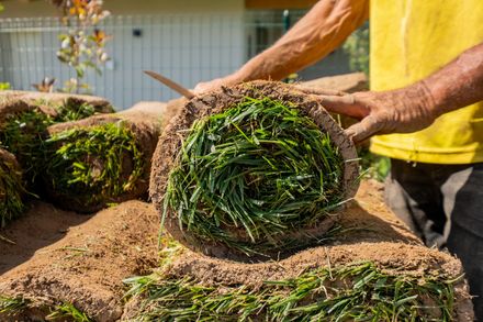 Mani che posizionano rotoli di zolle di terra sul terreno in un giardino soleggiato