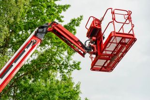 Piattaforma elevatrice rossa da cantiere con cestello sollevato accanto a verdi alberi frondosi contro un cielo luminoso