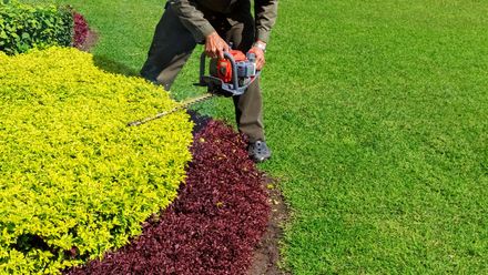 Una persona pota una siepe colorata con una motosega in un'aiuola verde.
