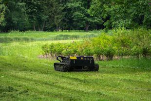Tosaerba nero su un prato verde vicino ad alberi e arbusti fitti