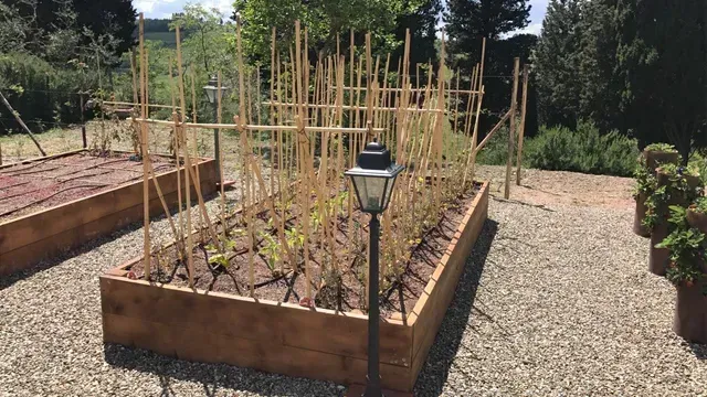 Aiuola rialzata con pali di bambù e lanterna in un'area del giardino ghiaioso.