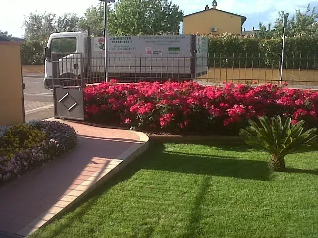 Un camion dietro a fiori rosa acceso in un giardino paesaggistico con prato verde e vialetto.