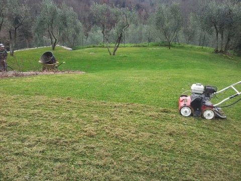 Giardinaggio a Firenze