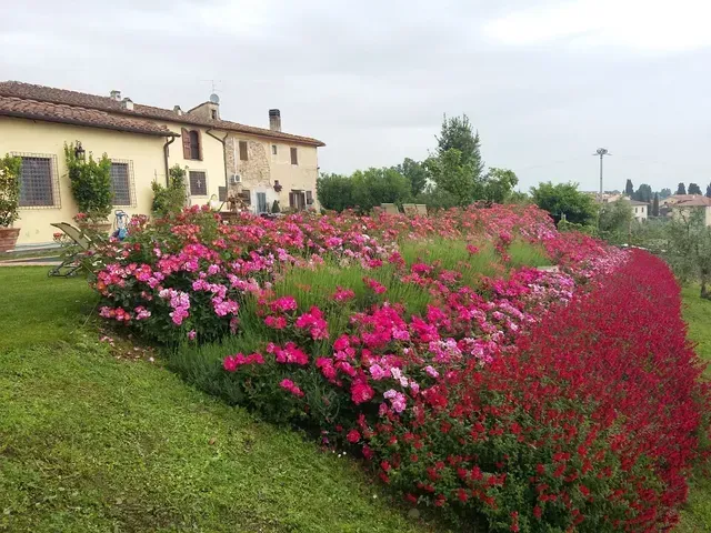 Fiori rosa che sbocciano in un giardino curato, accanto a una casa beige e a un prato verde.