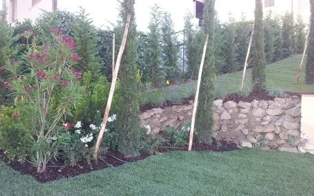Giardino paesaggistico con arbusti, piccoli alberi e un muro di contenimento in pietra accanto a un prato.