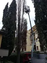 Alberi ad alto fusto e un lampione accanto a un condominio beige in un cortile urbano.