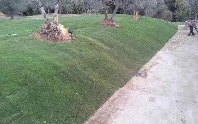Pendio erboso di un parco accanto a un sentiero di cemento, con piccoli alberi e una persona che cammina in lontananza.