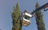 Piattaforma aerea che si estende tra alti cipressi sotto un cielo azzurro e limpido.