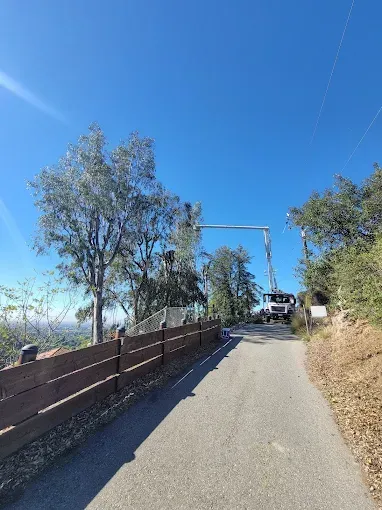 Concrete truck with extended boom arm spraying concrete near trees and a fence on a road under a blue sky.