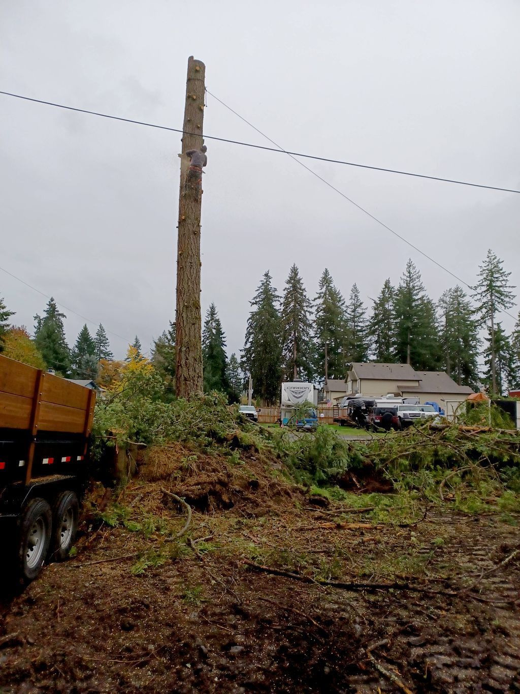 Tall utility pole in a muddy rural lot with trucks, houses, and evergreen trees under an overcast sky
